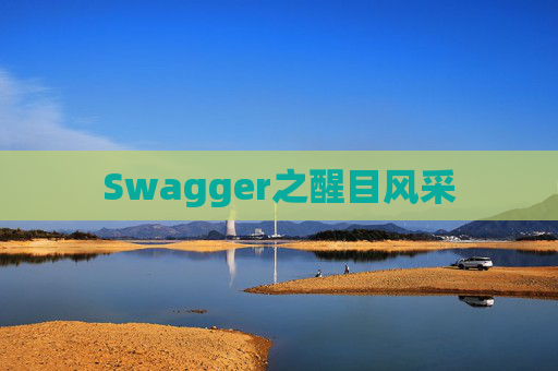 Swagger之醒目风采